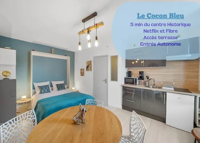 Le Cocon Bleu Confort Et Calme Au Centre Ville Beaune